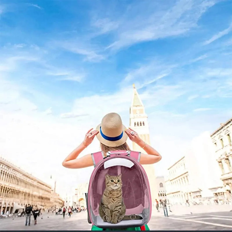 Mochila Transparente para transporte de Gatos e Pequenos Animais. Respirável e Confortável.